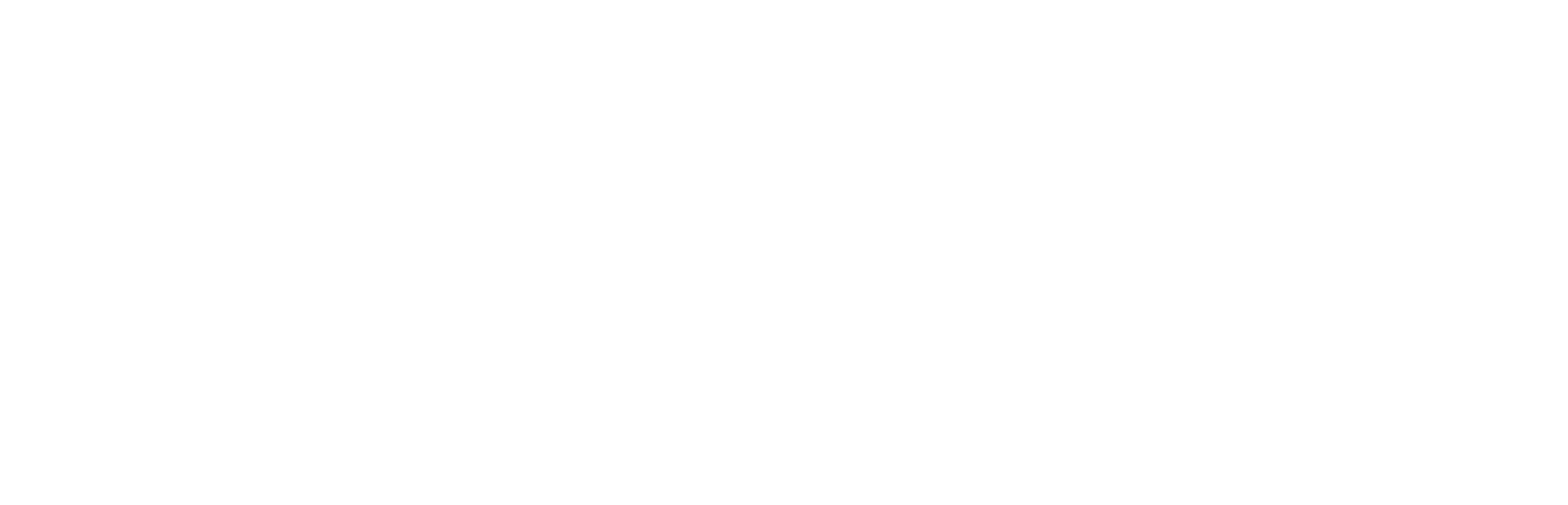 The Nest & Roost Logo