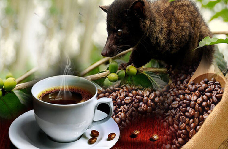 Luwak coffee